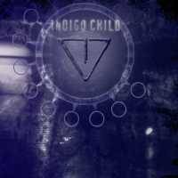 Indigo Child : Involve Synthetic